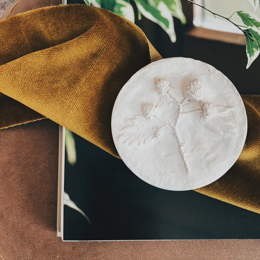 Raspberry Plaster Cast