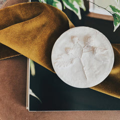 Raspberry Plaster Cast