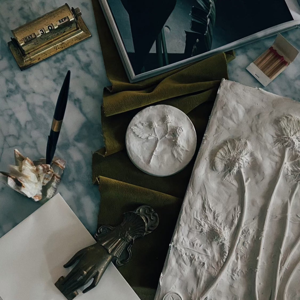 Raspberry Plaster Cast