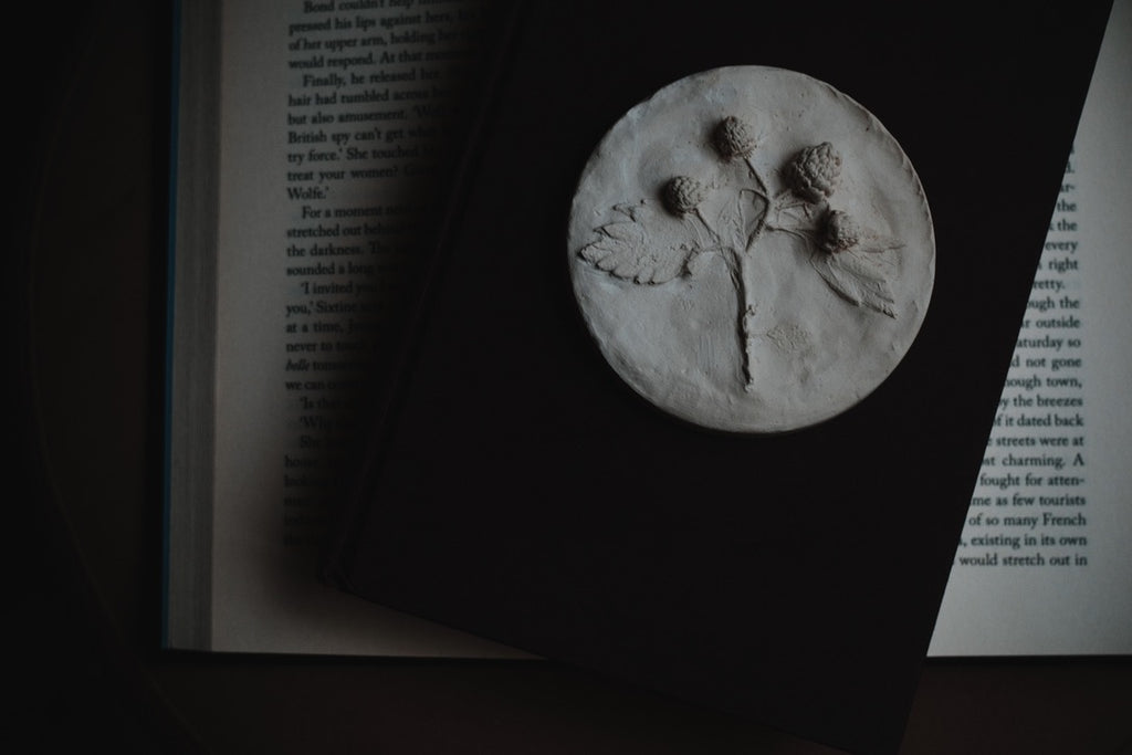 Raspberry Plaster Cast