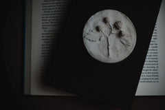 Raspberry Plaster Cast