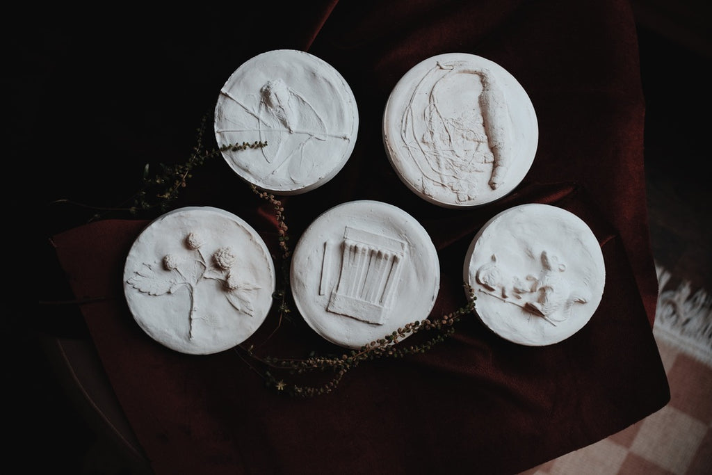 Raspberry Plaster Cast