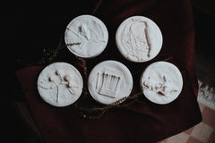 Raspberry Plaster Cast