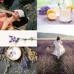 For the Love of Lavender Workshop - 4.29.24