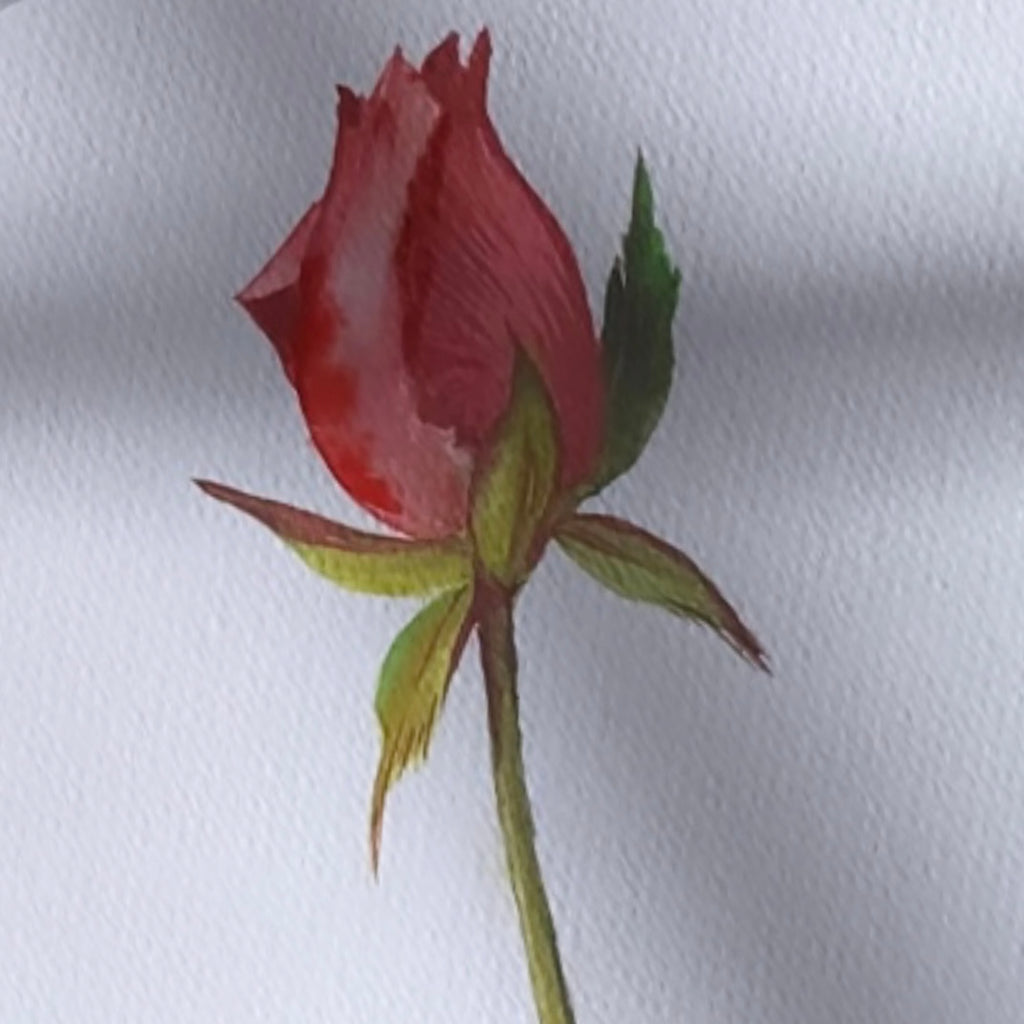 Blooms Watercolor Workshop - 2.22.24