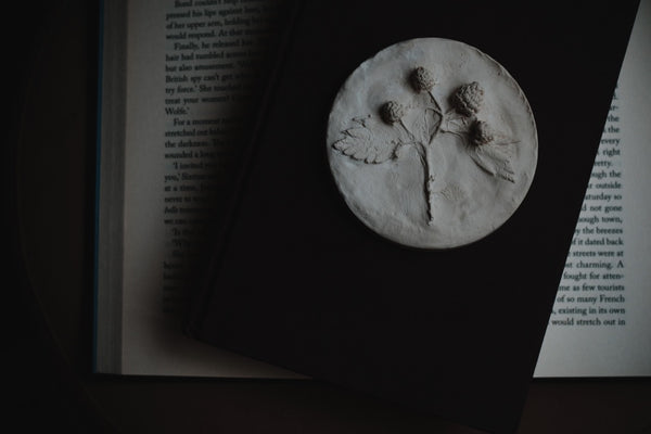 Raspberry Plaster Cast