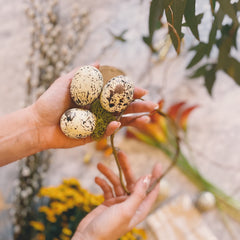 Spring Nest Floral Arrangment