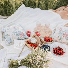 TABLE of CONTENTS Café - Picnic Popup + Stationary Station
